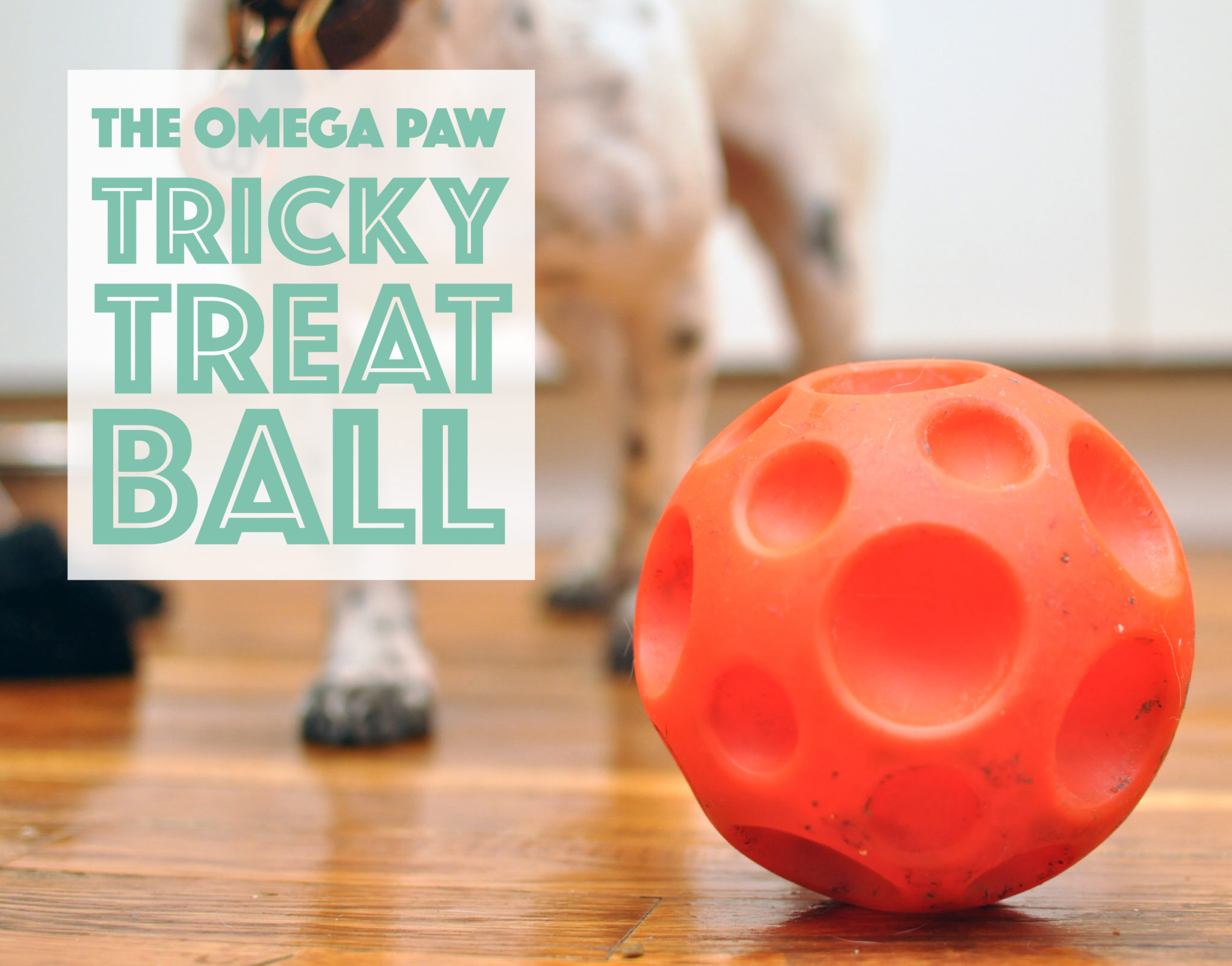omega paw tricky treat ball