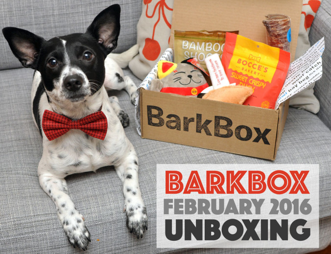 BarkBox Unboxing February 2016 The Broke Dog