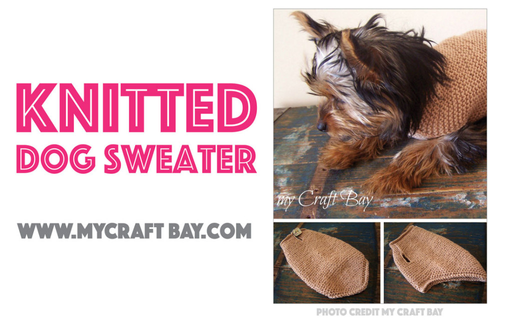 Seven Free Dog Sweater Patterns - The Broke Dog