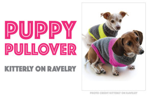 We rounded up seven of the cutest free sweater patterns that you can knit for your dog!