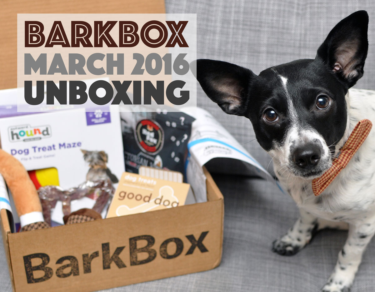 https://www.thebrokedog.com/wp-content/uploads/2016/03/march-barkbox-review-sherlock-bones-cover.jpg