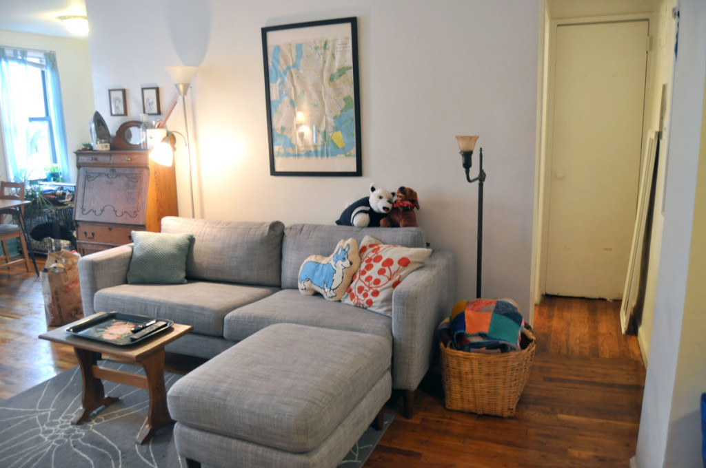 Creating a Puppy-Friendly Space in a Small Apartment