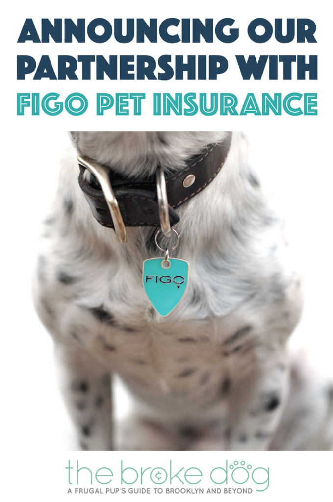 Figo pet insurance jobs Idea