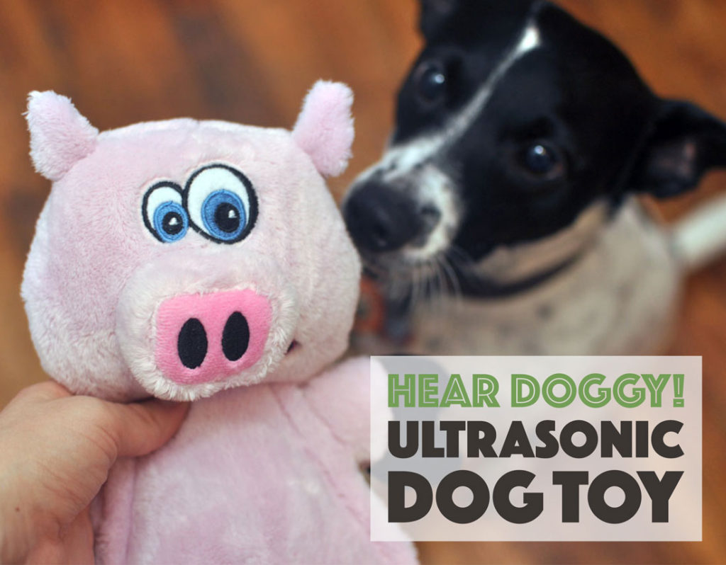 hear doggy ultrasonic plush toys