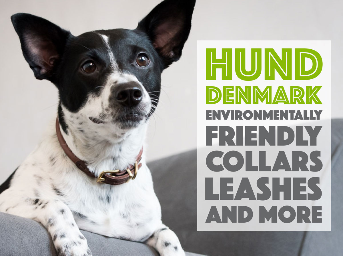 Denmark: Environmentally Friendly Dog Collars, Leashes, and More - The Broke Dog