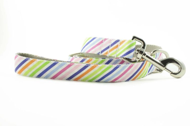 Bonjour Fido: Stylish Leashes and Collars From NYC - The Broke Dog