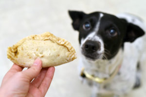 A Welsh Pasty Recipe For Dogs Using Caru Daily Dish - The Broke Dog