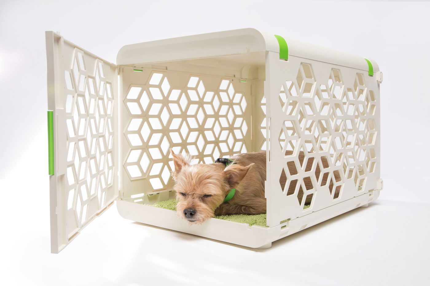 designer dog crates