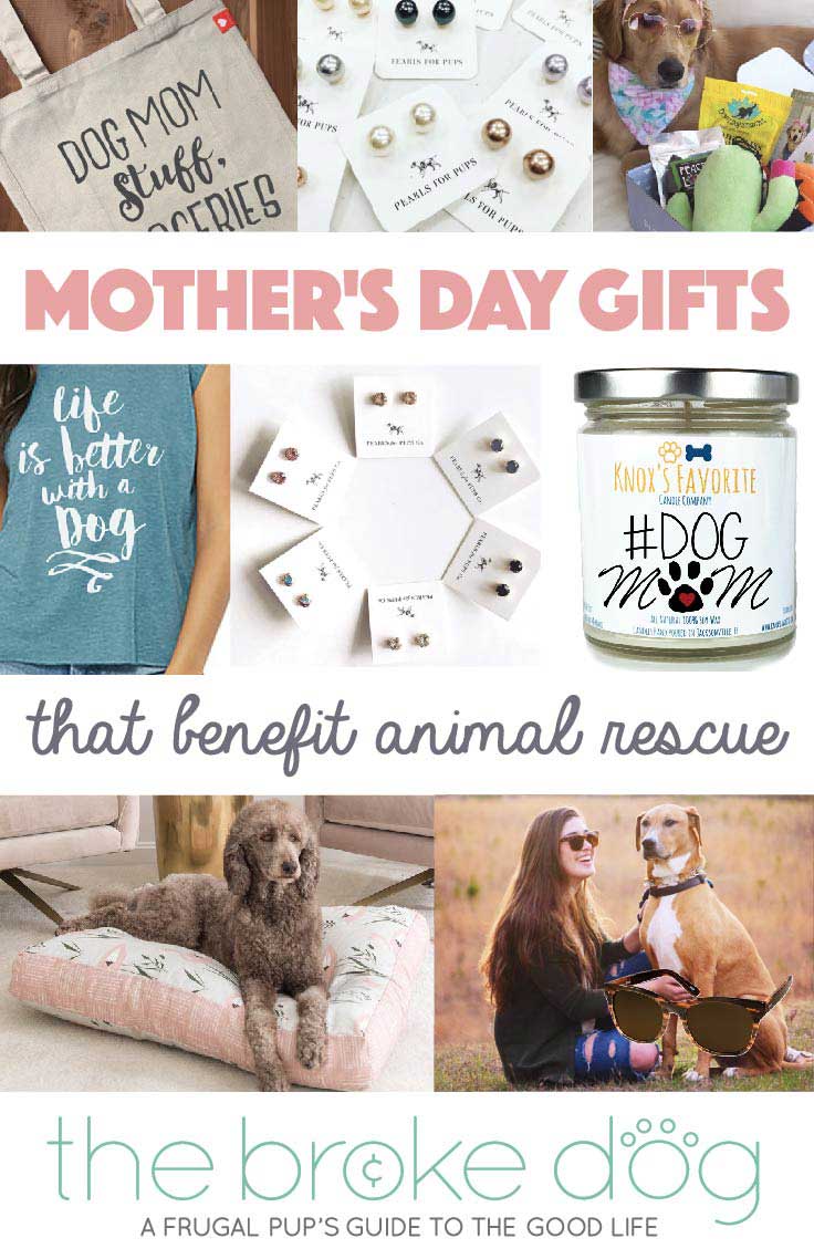 25 Gifts To Spoil Dog Moms On Mother's Day - BARK Post